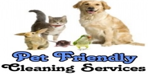 Pro Cleaners London