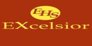 Excelsior Heating Specialists Ltd