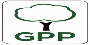 Gpp Wood Fuel