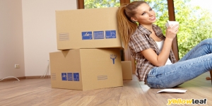 Movers Man And Van