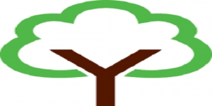 The Luxury Wood Company
