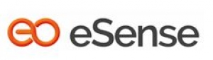 Esense Business Growth Services
