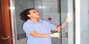 Cleaners Ladywell