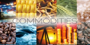 Commodity Basis