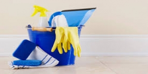 Professional Cleaners Millbank