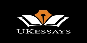 Essay Writing Service