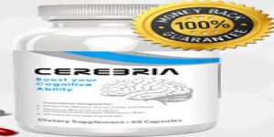 Cerebria
