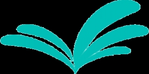 BK Web Design