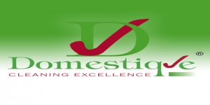 Domestique House Cleaning