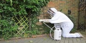 Pest Control Stevenage