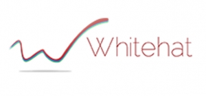 Whitehat SEO