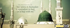 Al Hijaz Tours