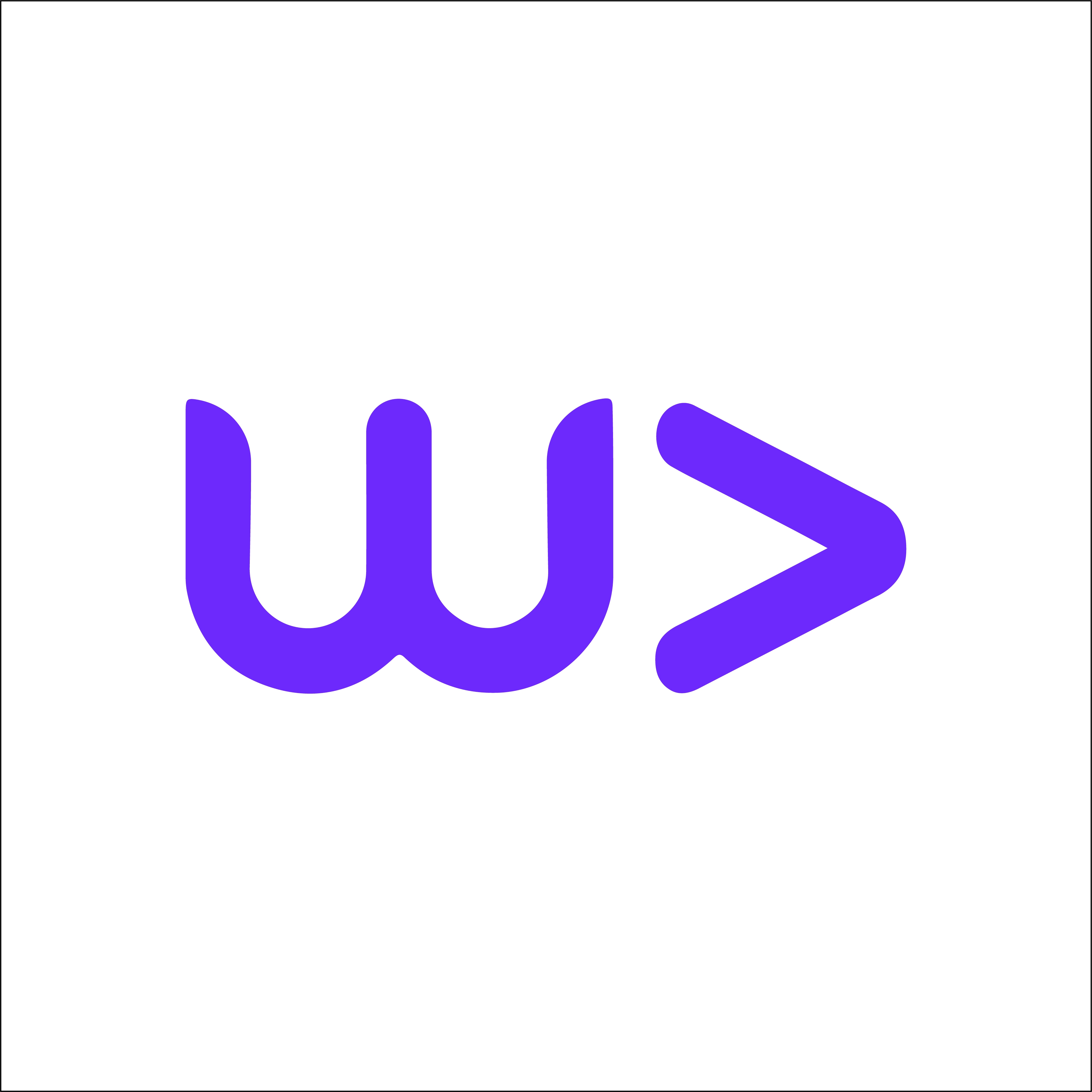 Webvizion