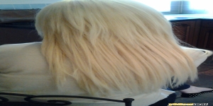 Hello Gorgeous Hair Extensions
