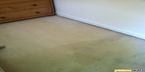North West Carpet Care