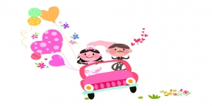 Sherwood Wedding Cars