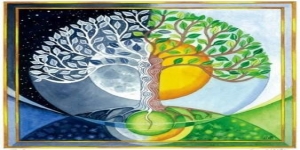 Ejs Counselling & Psychotherapy