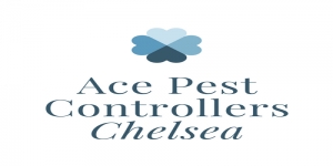 Ace Pest Controllers Chelsea