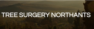 Tree Surgery Northants