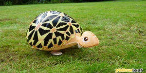 Walking Pet Balloons