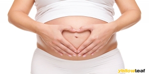 Joyful Body Birth