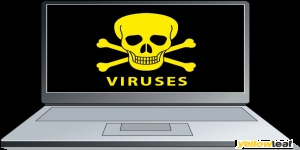 norton setup support