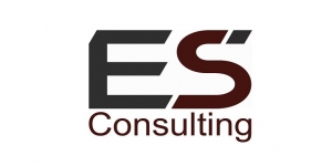 ES Consulting
