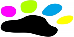 Clares Dog Grooming