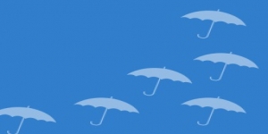 Umbrella Company Net