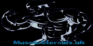 Muscle Steroids UK