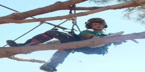 Stockport Tree Surgeon
