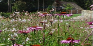 Champier-Clarke Garden Design & Construction