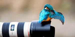Andrew Stott Photography