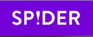 spider
