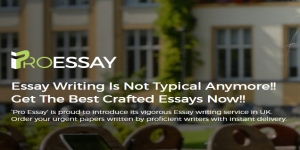 Online Essay Help UK