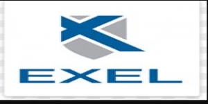 Exel Computer Systems Plc