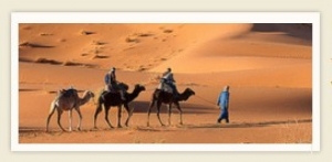 Sahara desert tour