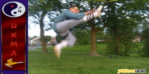 Dragon Kwoon Martial Arts