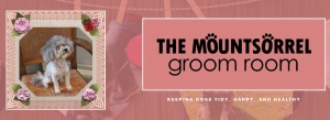The Mountsorrel Groom Room