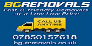 Bg Removals