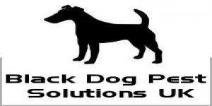 Black Dog Pest Solutions UK