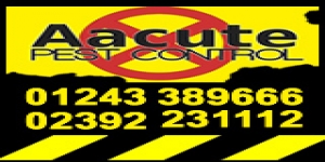 Aacute Pest Control
