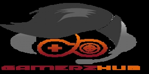 THE GAMERZ HUB