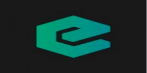 Elementary Digital