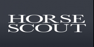 Horse Scout