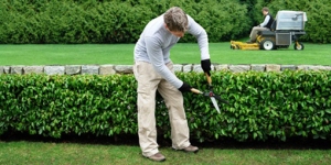 Everett Maintenance & Landscaping