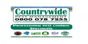 Countrywide Pest Control - Reading