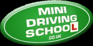 Mini Driving School