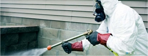 Fast Pest Action
