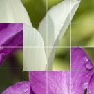 SD GARDEN DESIGNS